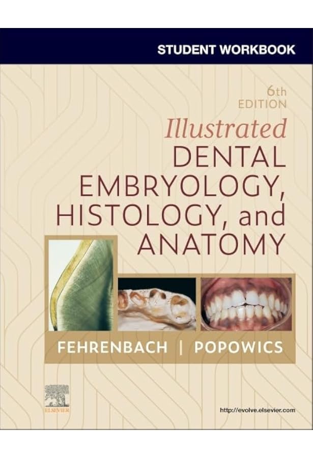 Student Workbook for Illustrated Dental Embryology, Histology and Anatomy, 6th Edition