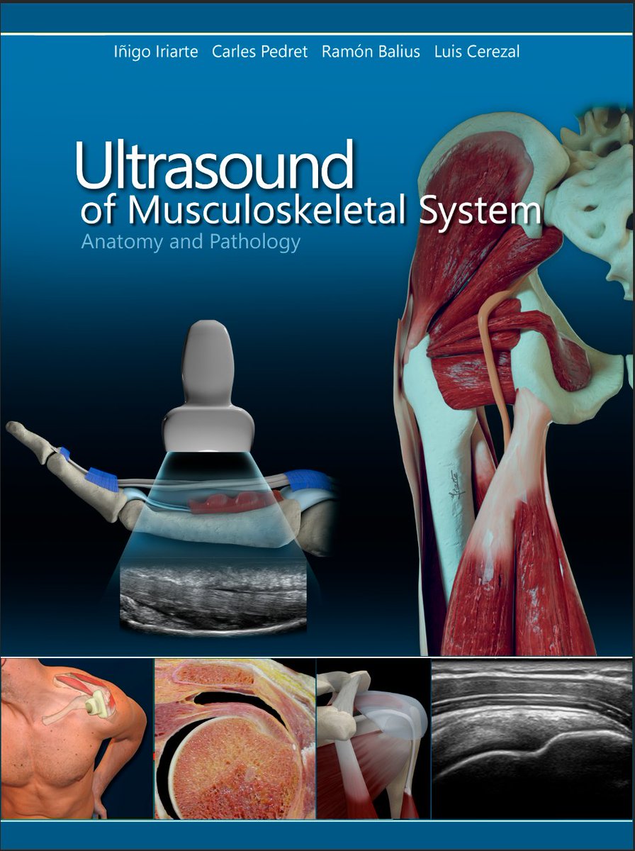 Ultrasound of the Musculoskeletal System: Anatomical exploration and pathology