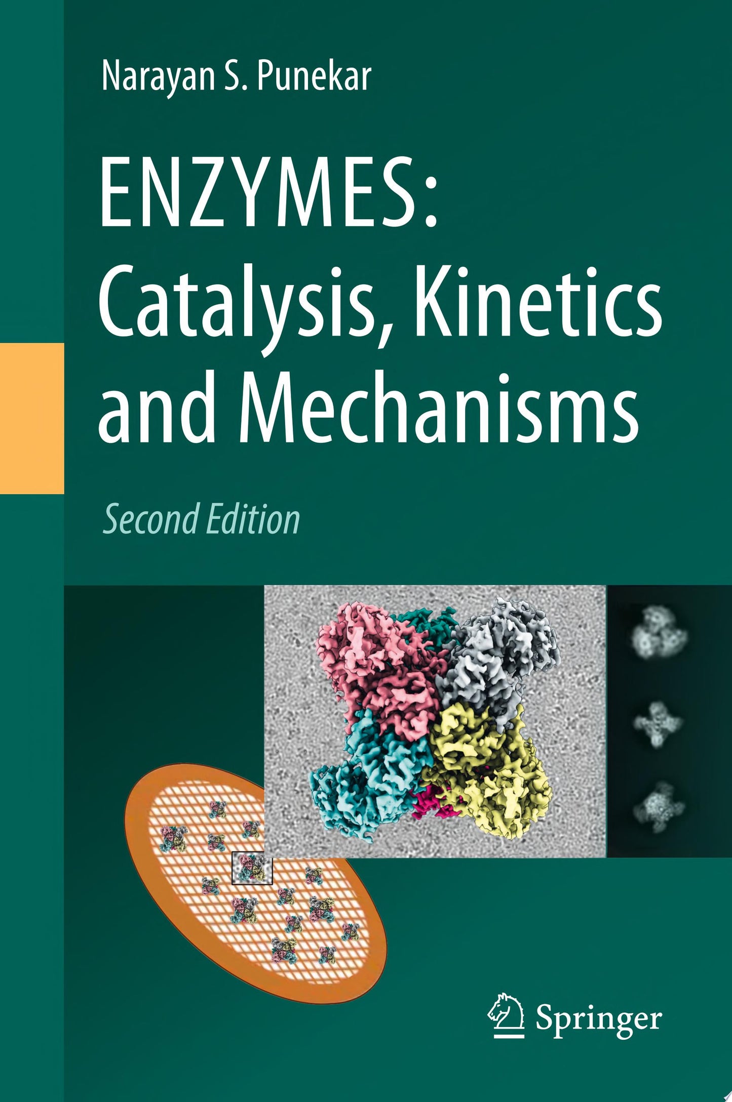 ENZYMES: Catalysis, Kinetics and Mechanisms