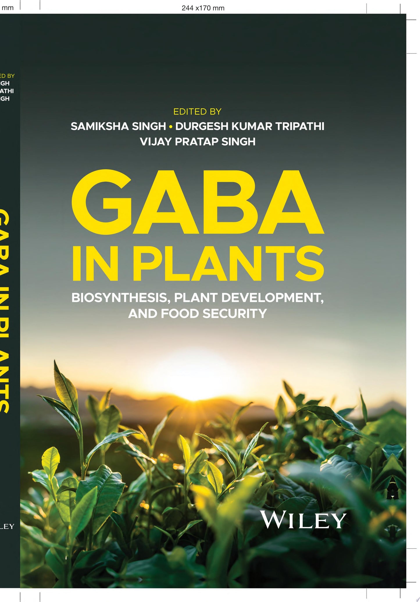 GABA in Plants: Biosynthesis, Plant Development, and Food Security