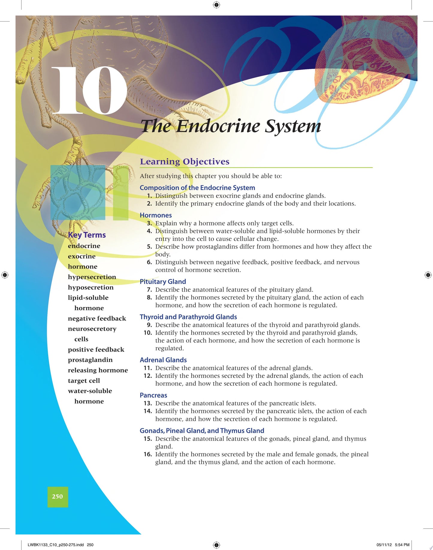 The Human Body – Concepts of Anatomy and Physiology, 3rd Edition