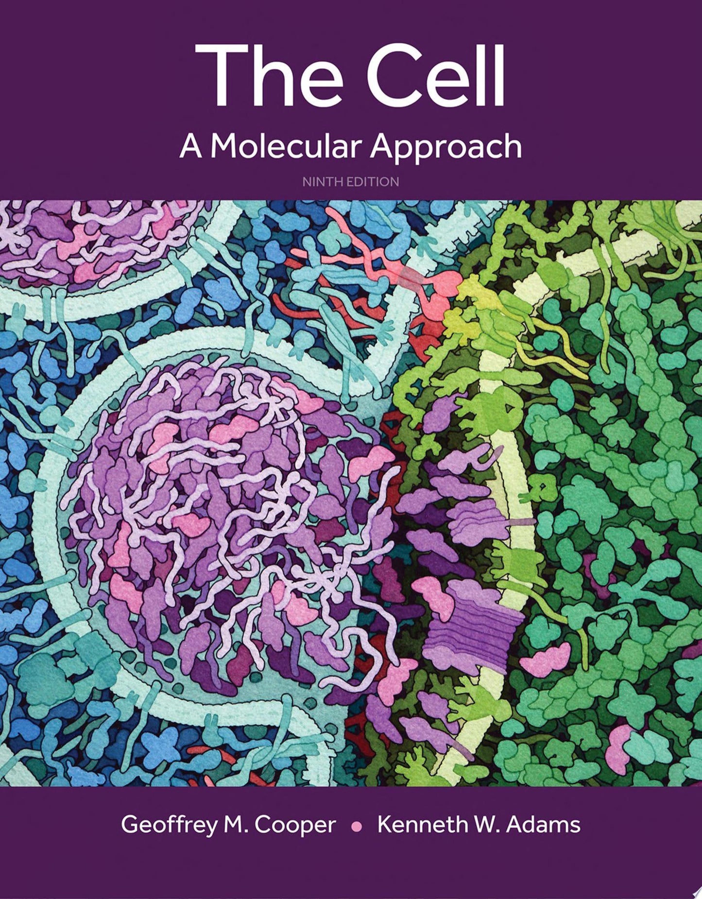 The Cell: A Molecular Approach, 8th Edition