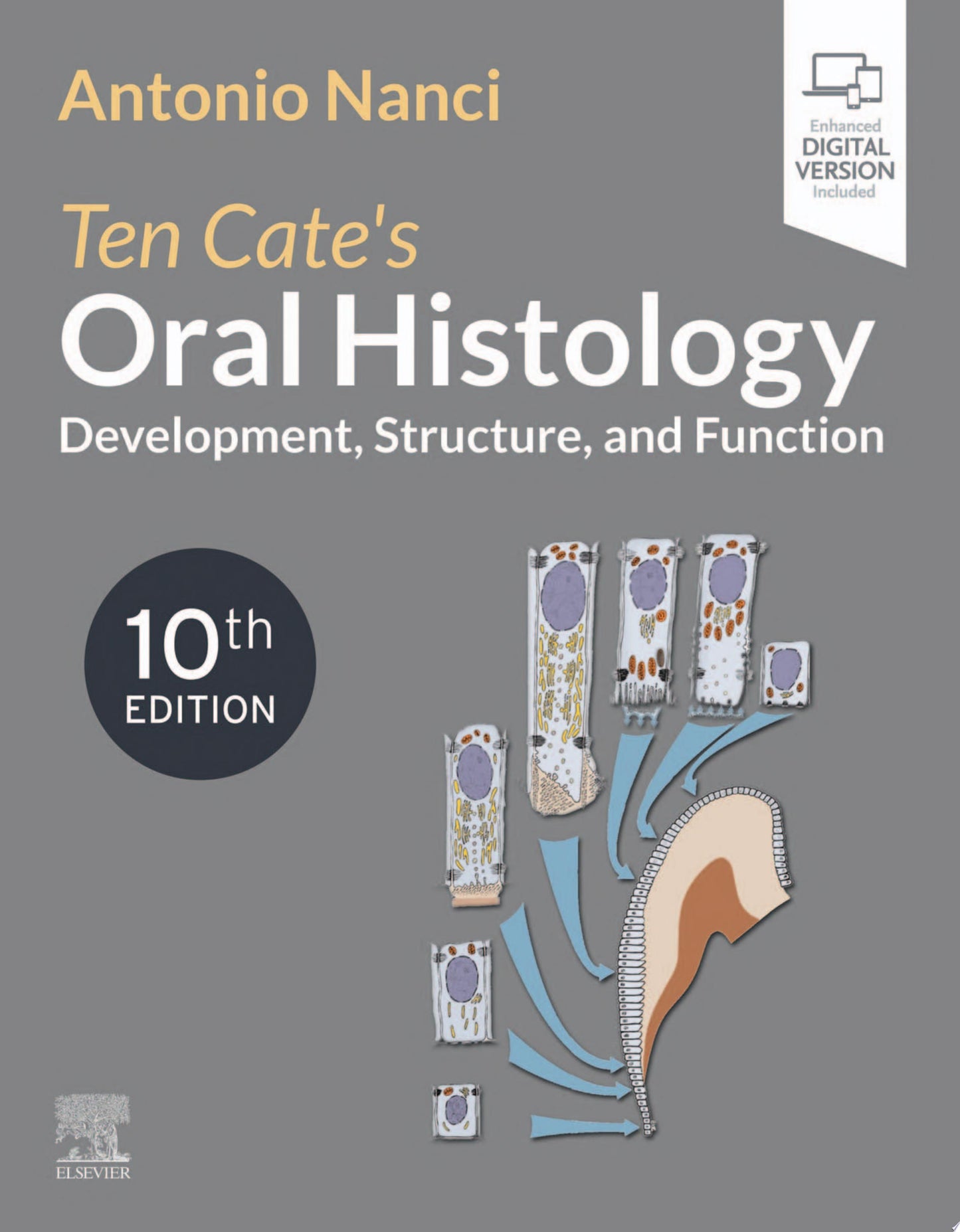 Ten Cate’s Oral Histology: Development, Structure, and Function, 10th edition
