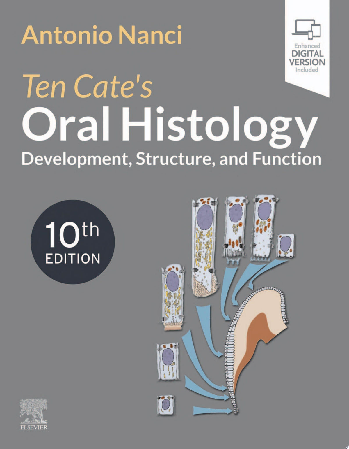 Ten Cate’s Oral Histology: Development, Structure, and Function, 10th edition
