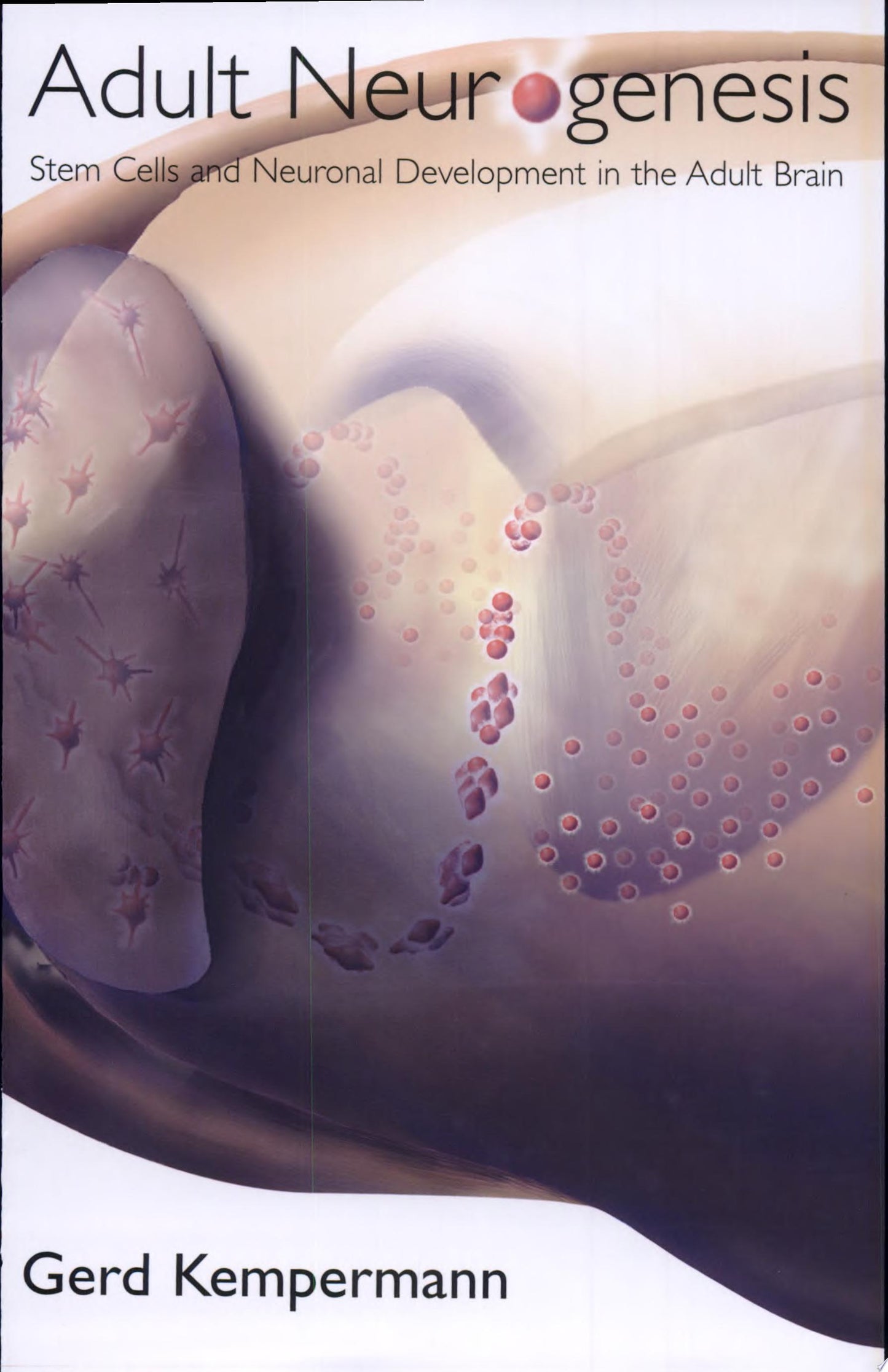 Adult Neurogenesis: Stem Cells and Neuronal Development in the Adult Brain, 3rd Edition