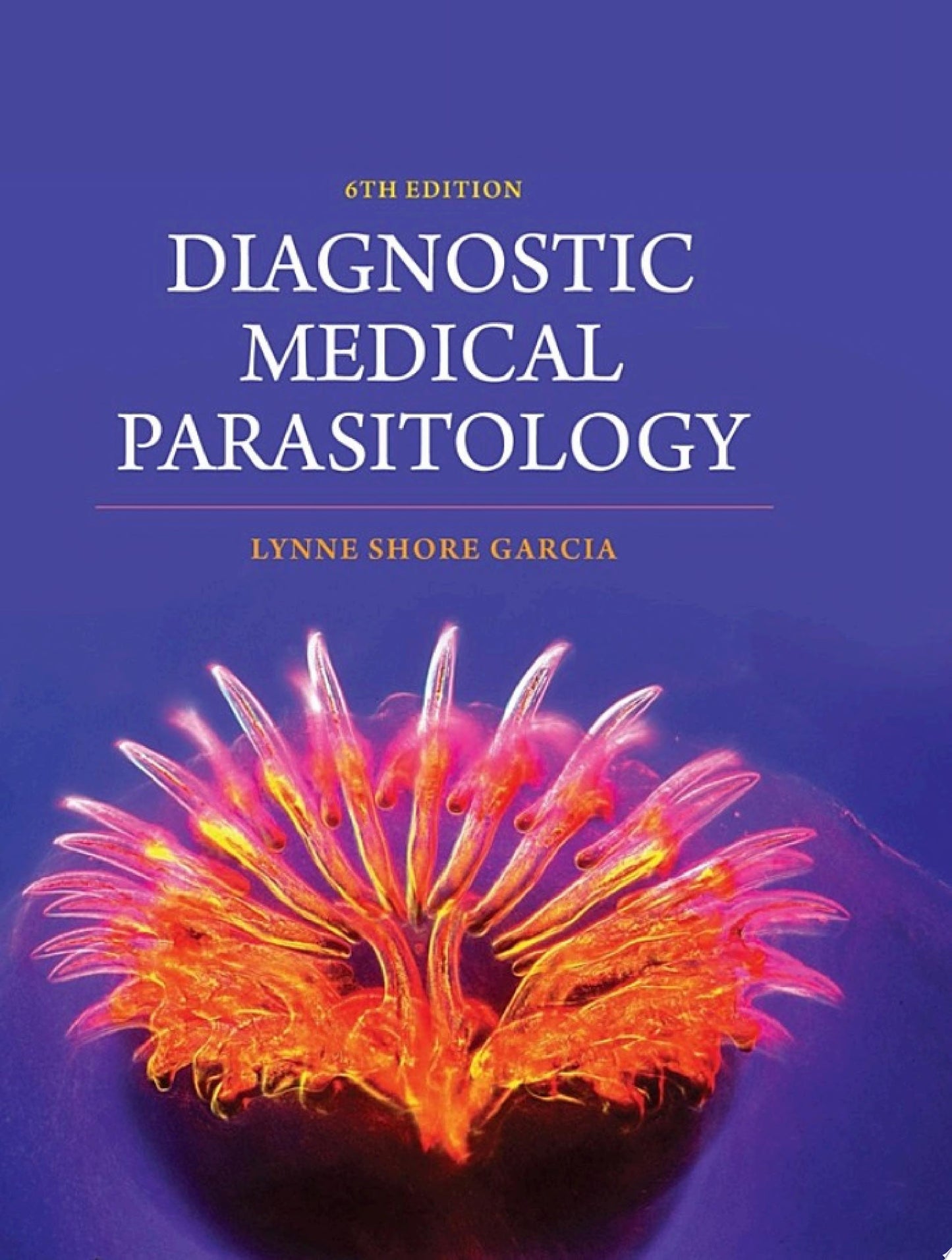 Endoscopic Diagnostics in Biomedicine: Instrumentation and Applications