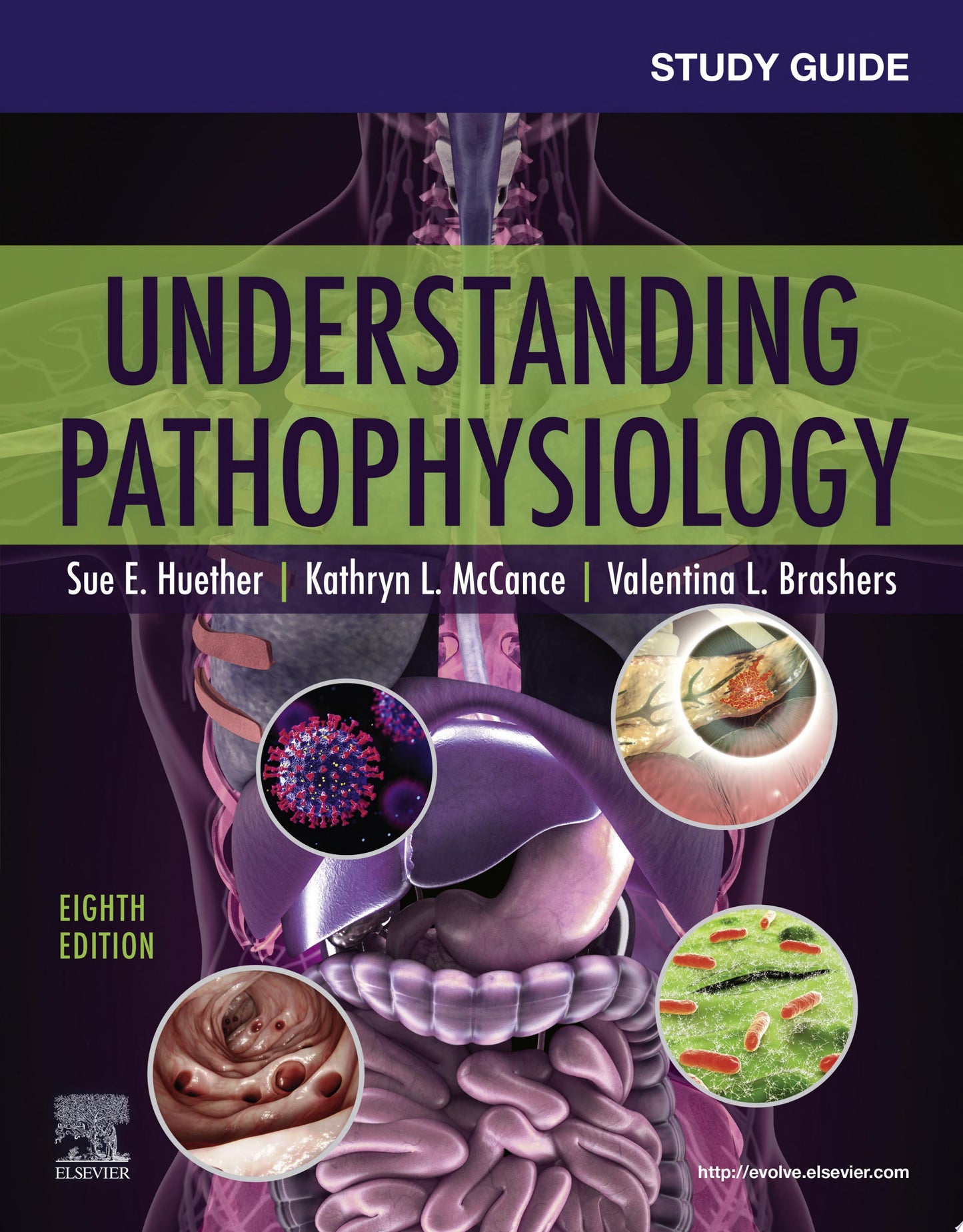 Study Guide for Understanding Pathophysiology, 8th edition