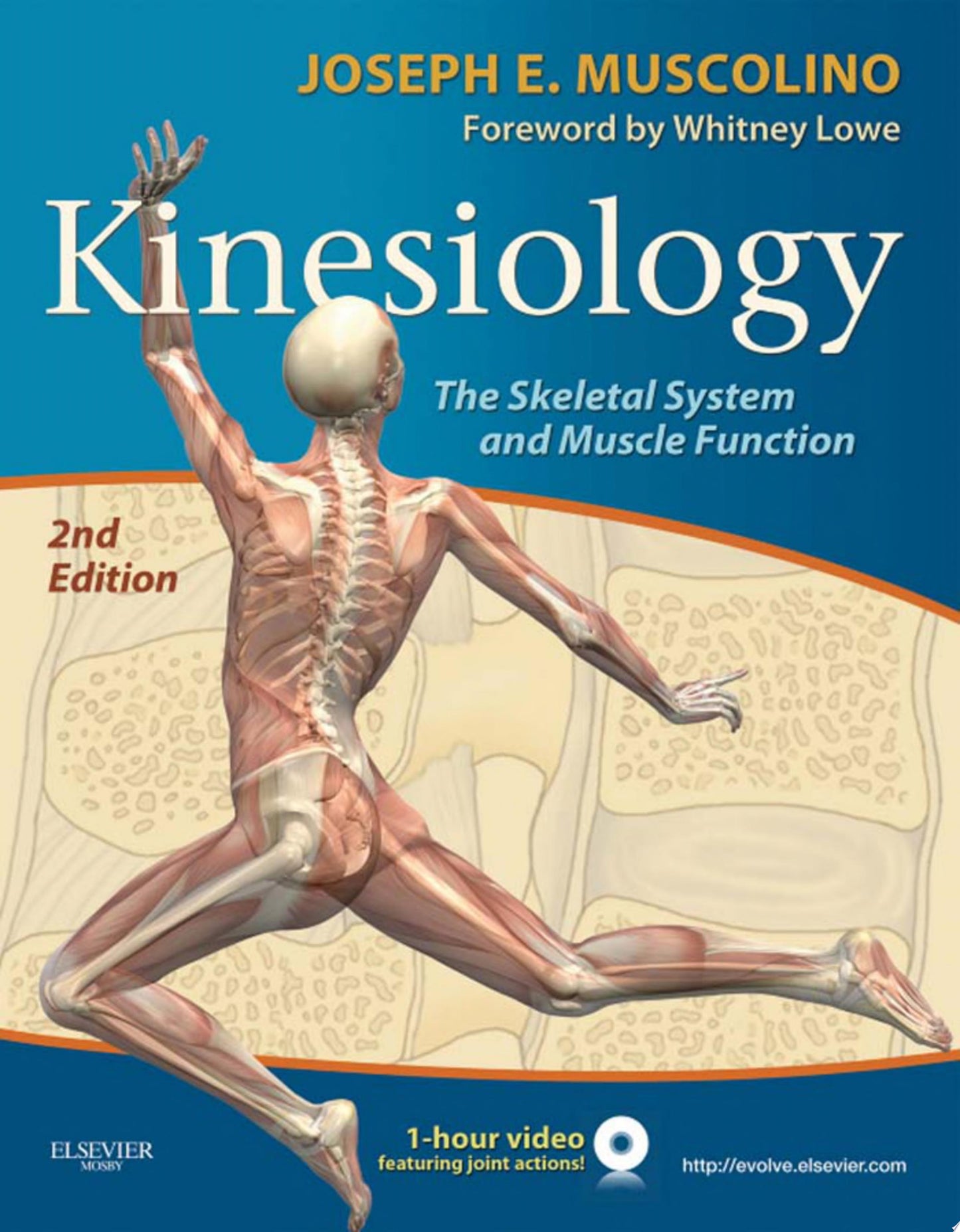 Textbook of Human Anatomy with COLOR ATLAS and Clinical Integration Volume 5 & 6