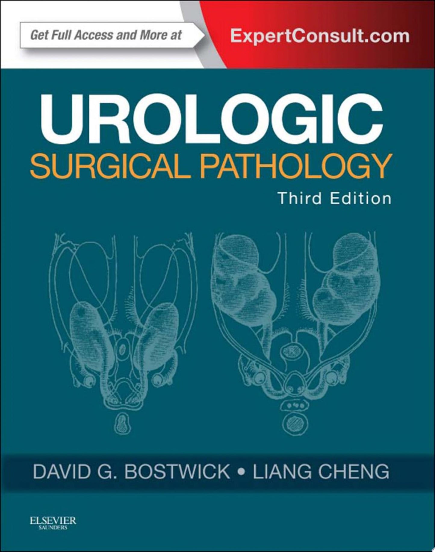 Urological Pathology