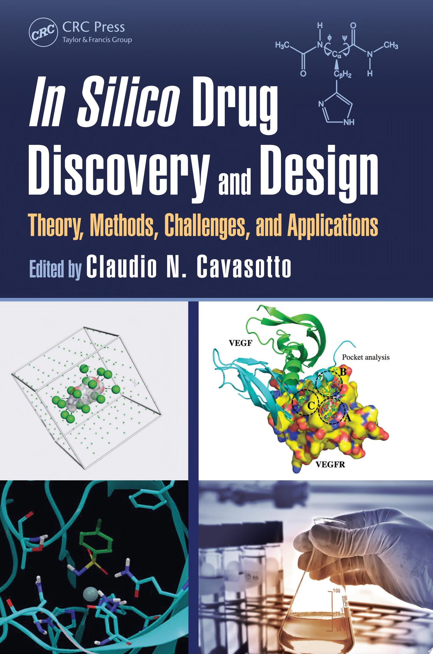 Drug Discovery with Privileged Building Blocks : Tactics in Medicinal Chemistry