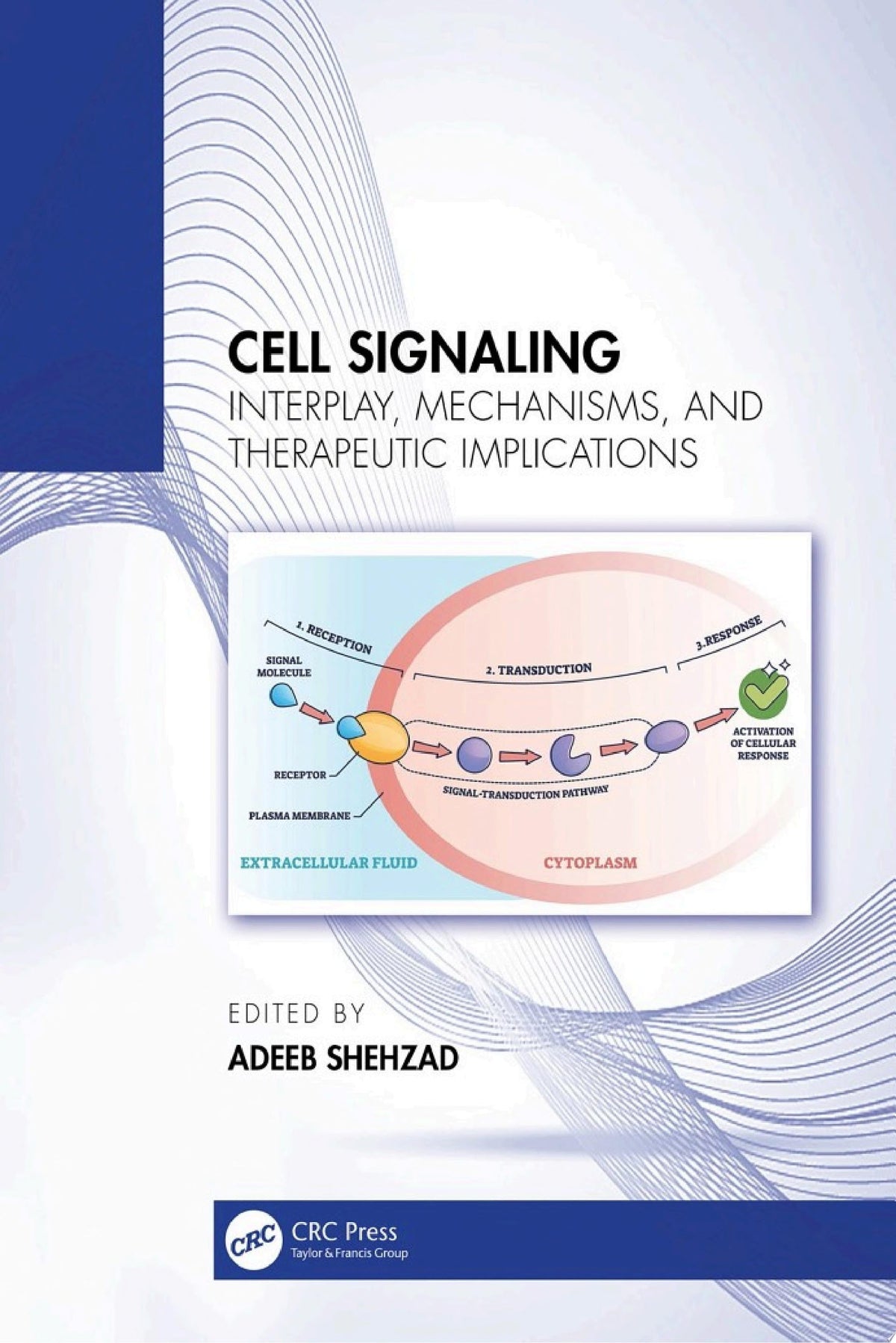 Cell Signaling: Interplay, Mechanisms, and Therapeutic Implications