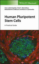 Biofluids Modeling: Methods, Perspectives, and Solutions