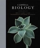 Phytochemistry of Plants of Genus Cassia