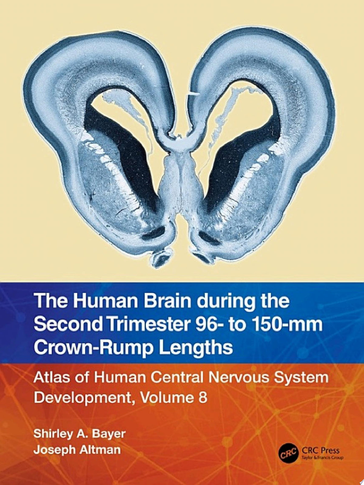 The Human Brain during the First Trimester 57- to 60-mm Crown-Rump Lengths: Atlas of Human Central Nervous System Development, Volume 7