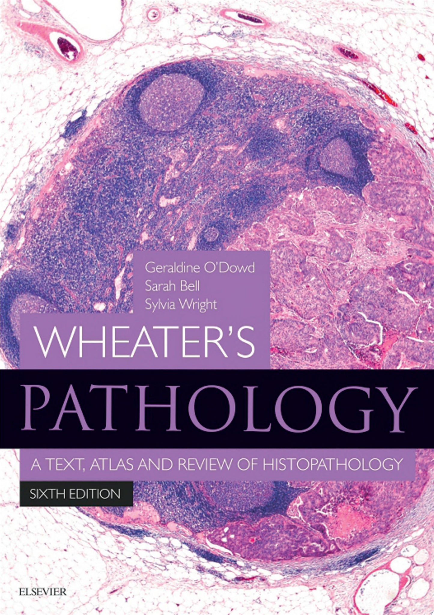 Wheater’s Basic Pathology: A Text, Atlas and Review of Histopathology, 5th Edition