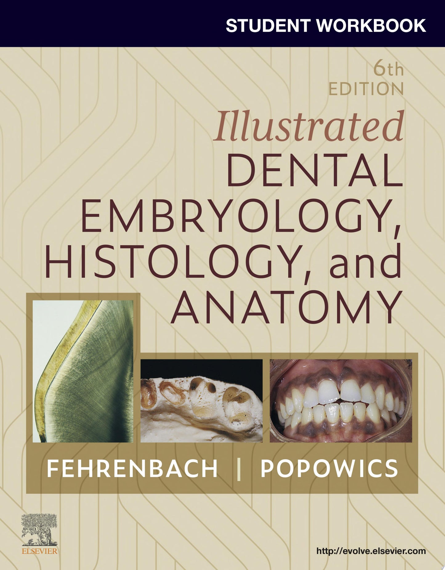Student Workbook for Illustrated Dental Embryology, Histology and Anatomy, 6th Edition