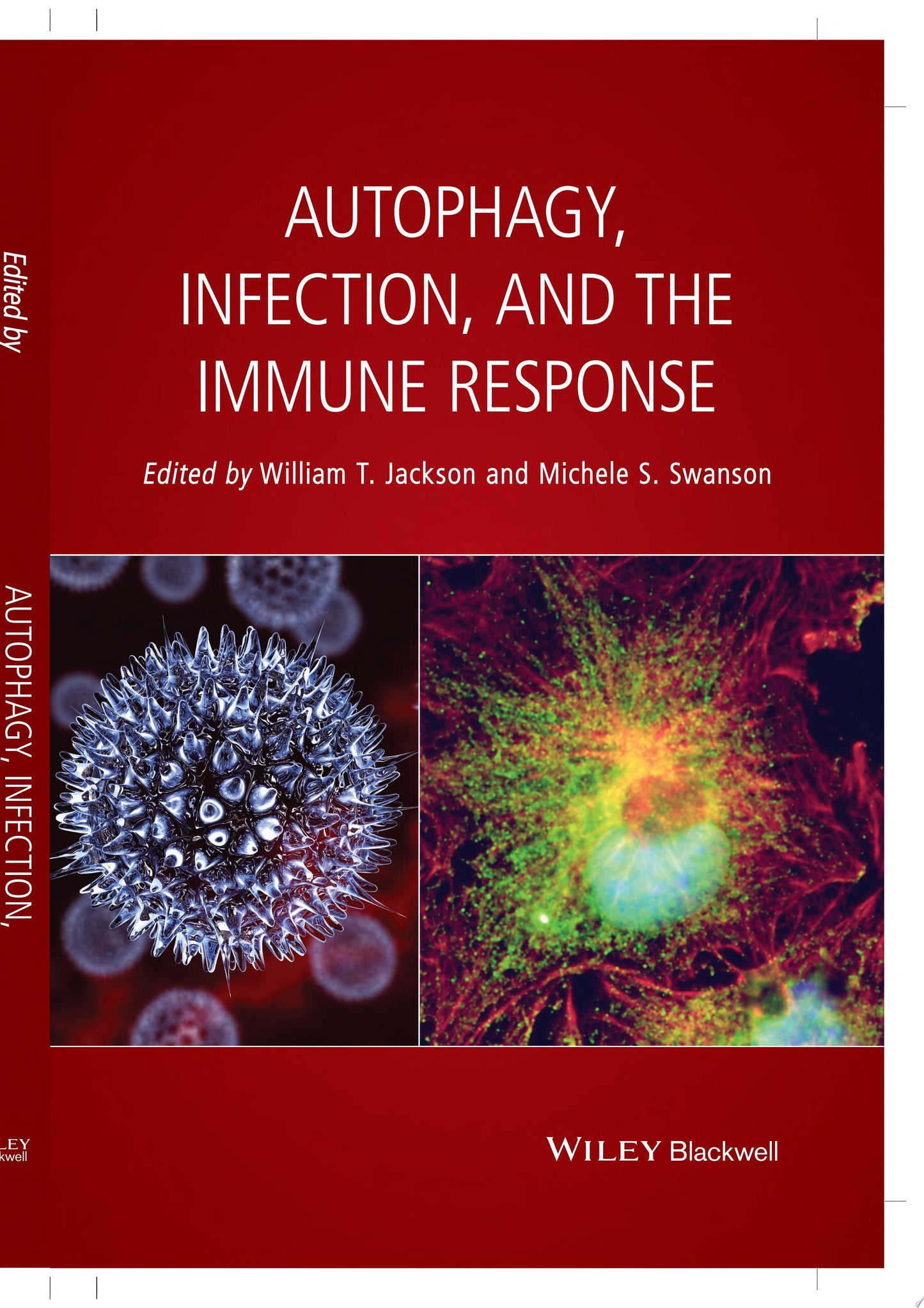 Autophagy, Infection, and the Immune Response
