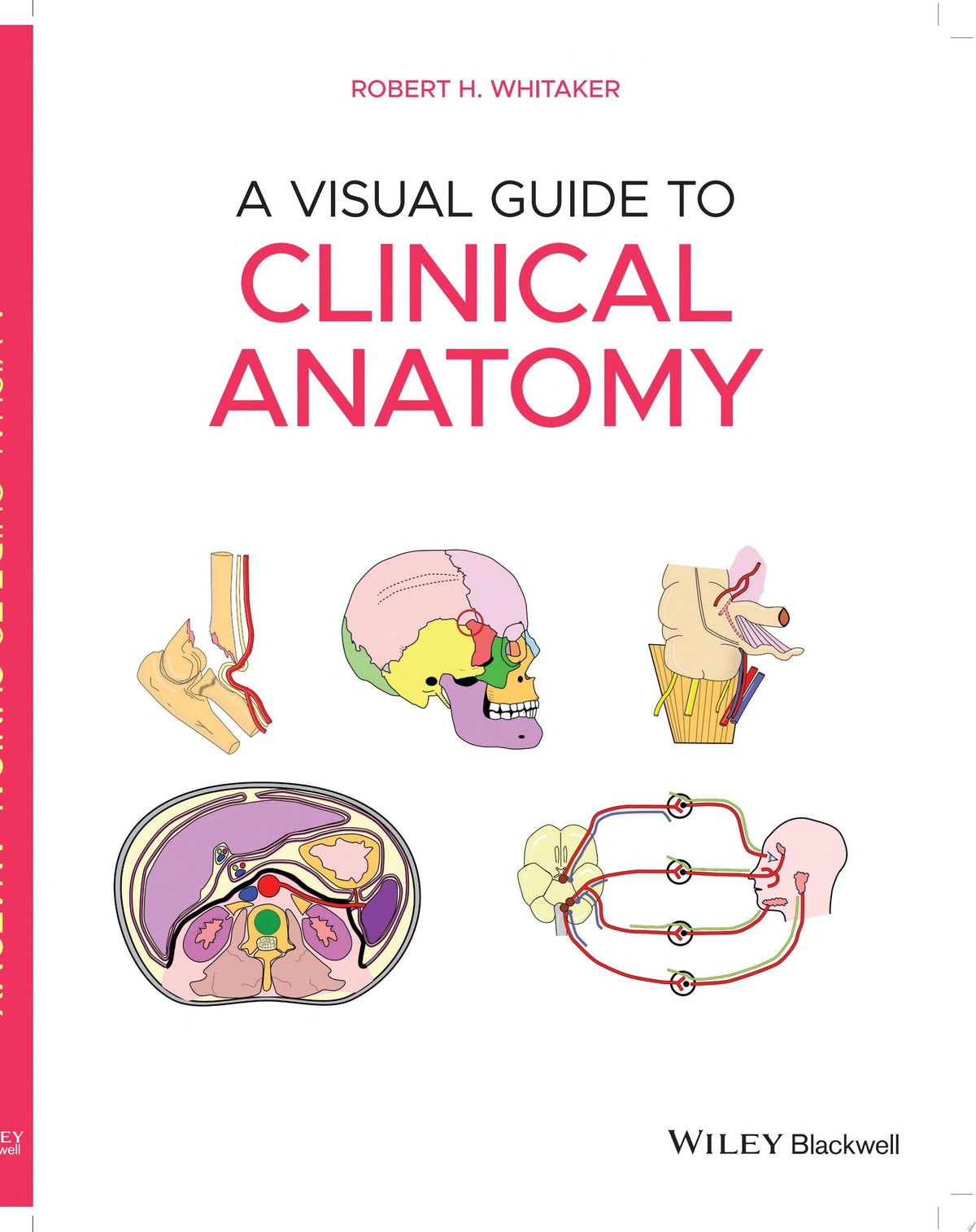 A Visual Guide to Clinical Anatomy