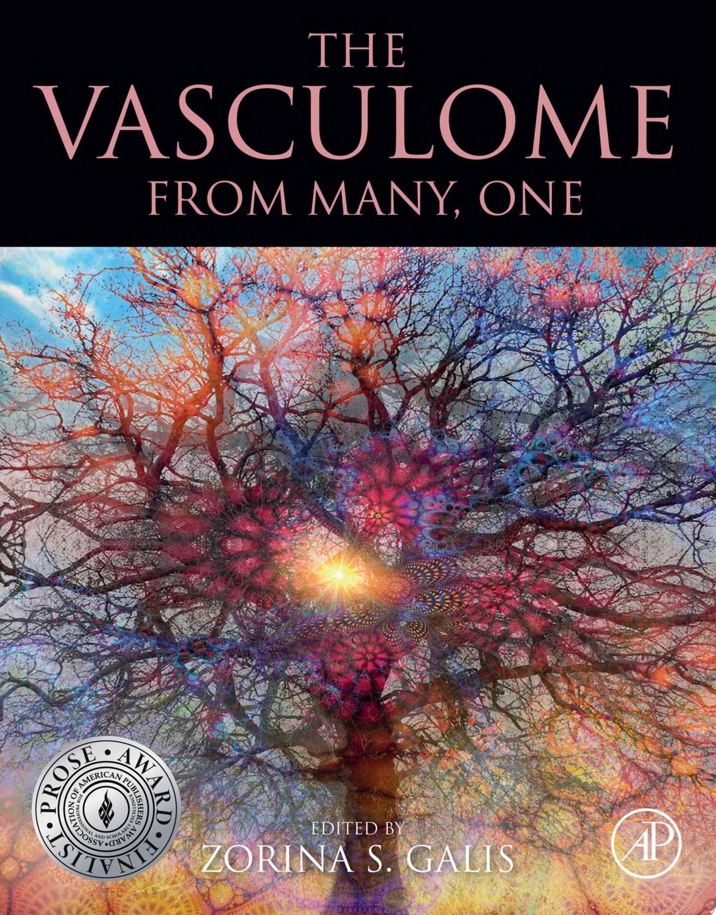 The Vasculome: From Many, One