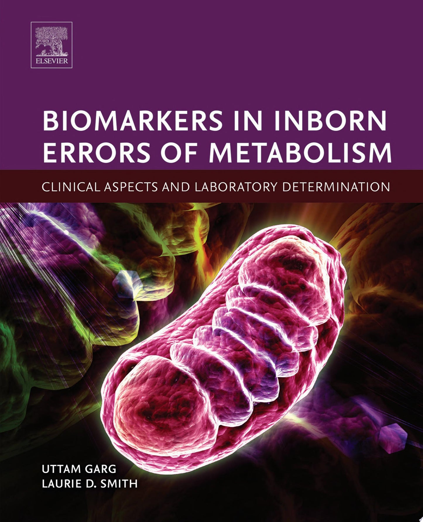 Bacterial Cellulose: Production, Scale-up, and Applications