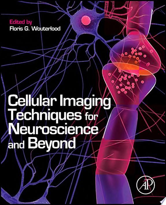 Cellular Imaging Techniques for Neuroscience and Beyond