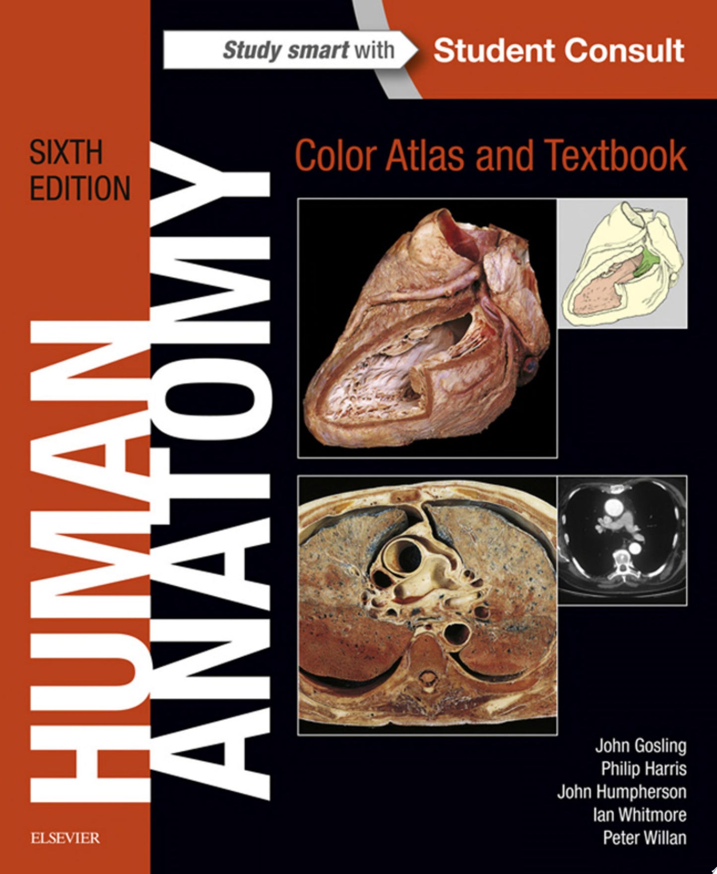 Human Anatomy, Color Atlas and Textbook, 6th Edition