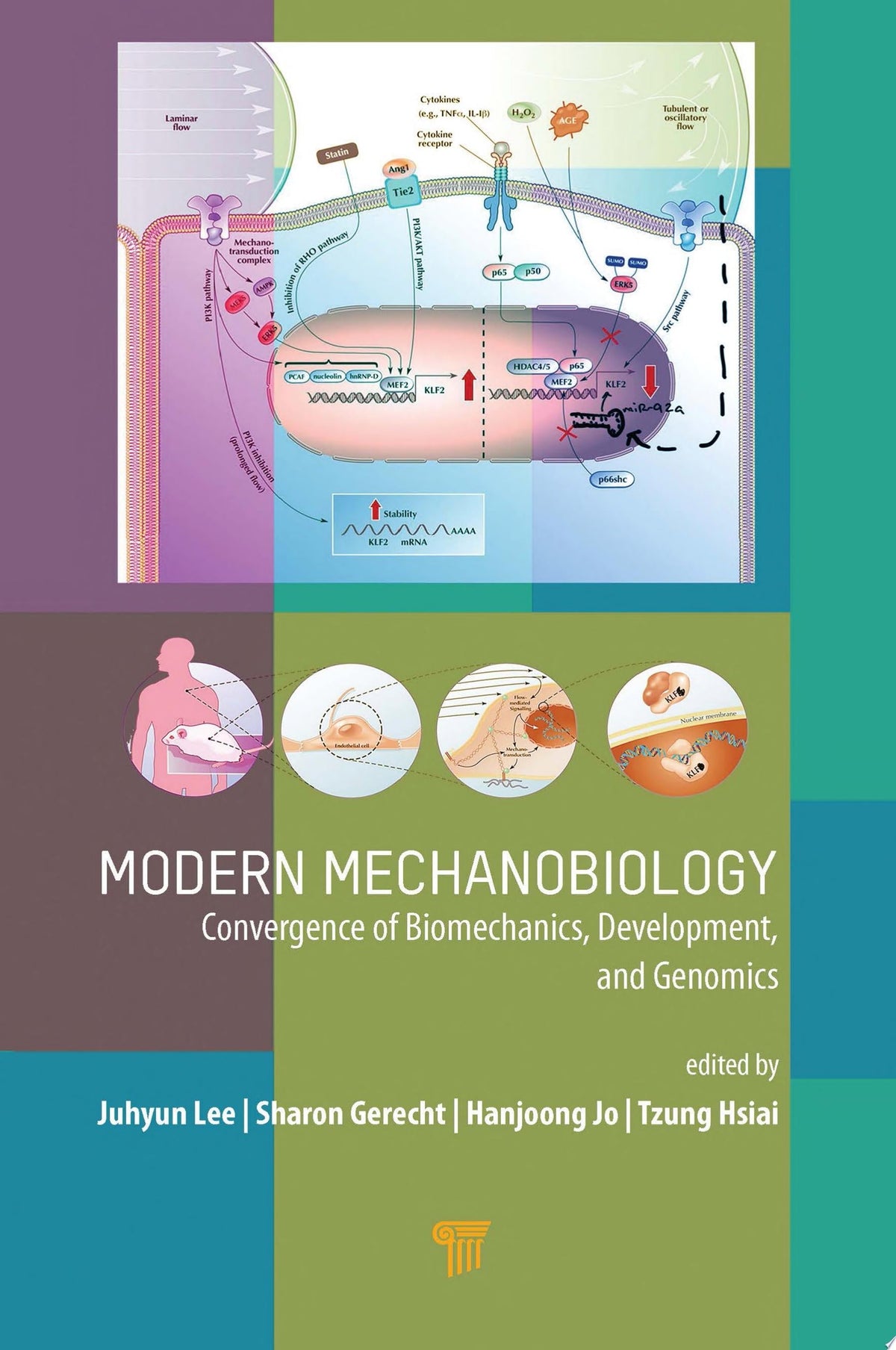 Modern Mechanobiology: Convergence of Biomechanics, Development, and Genomics