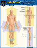 Anatomy – Directions, Planes, Movements & Regions: a QuickStudy Laminated Reference Guide