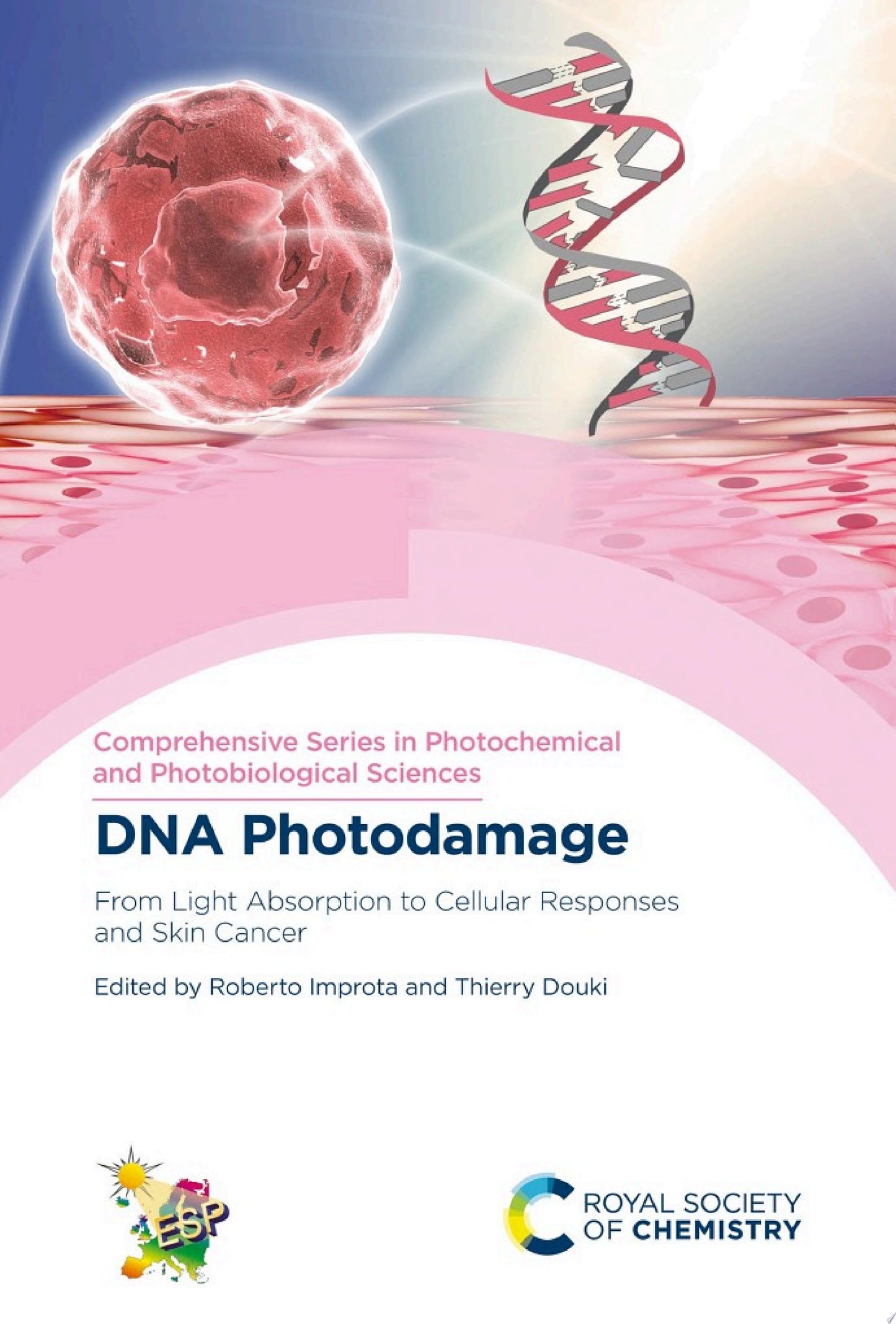 DNA Photodamage: From Light Absorption to Cellular Responses and Skin Cancer