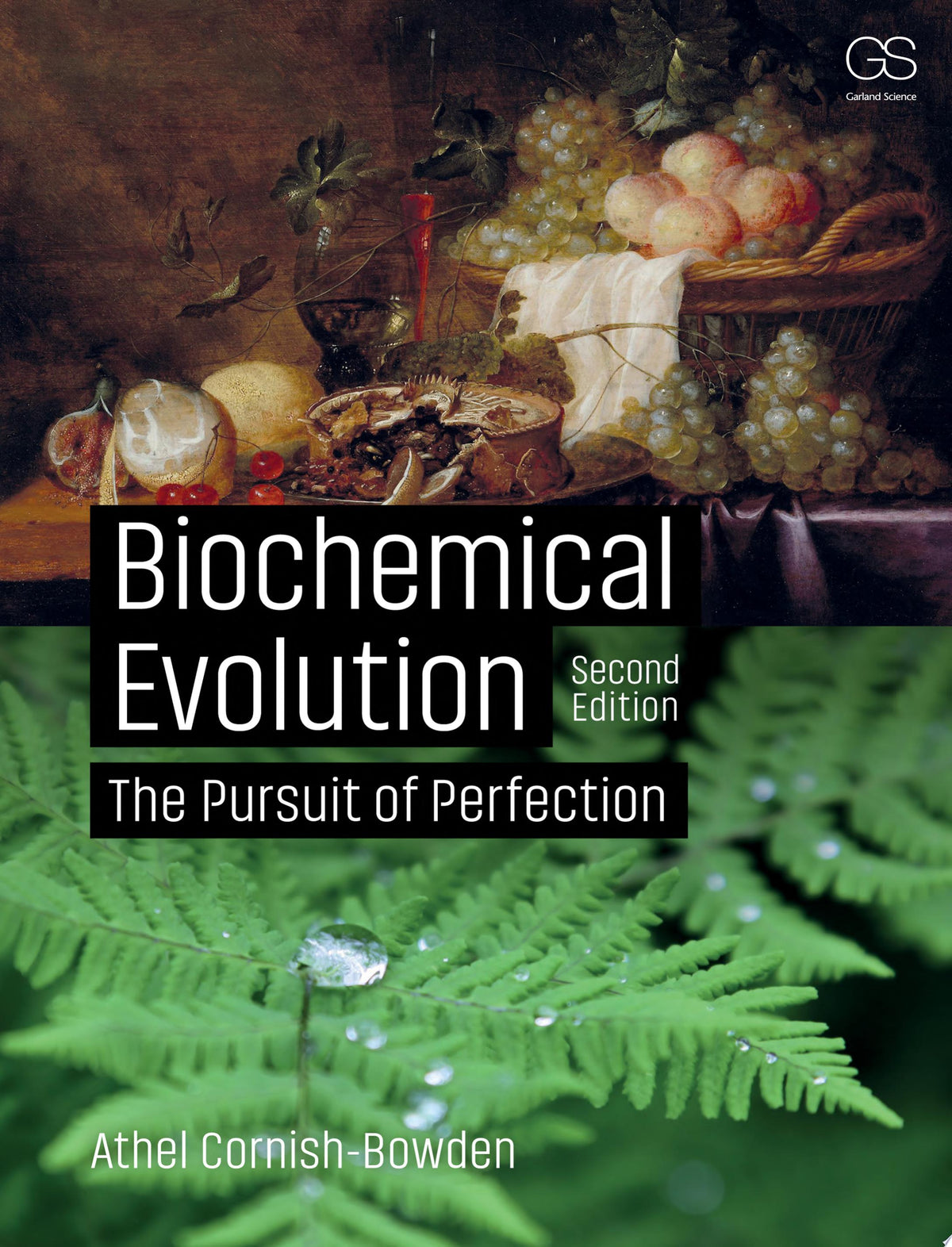 Biochemical Evolution: The Pursuit of Perfection, 2nd Edition