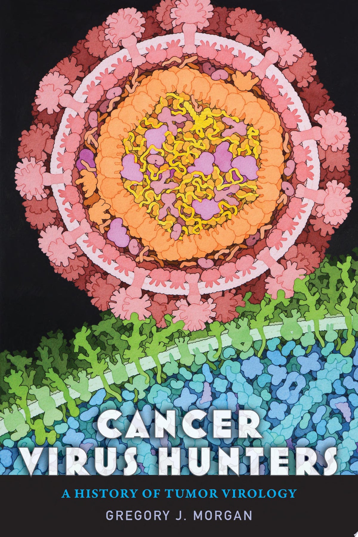Cancer Virus Hunters: A History of Tumor Virology