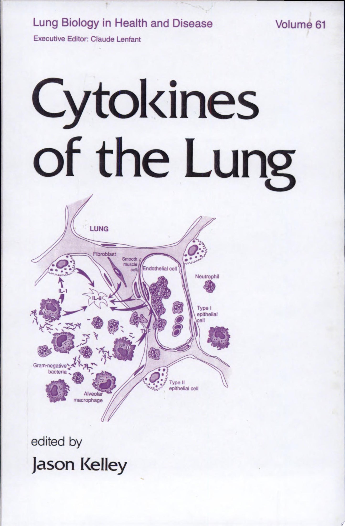 Cytokines of the Lung