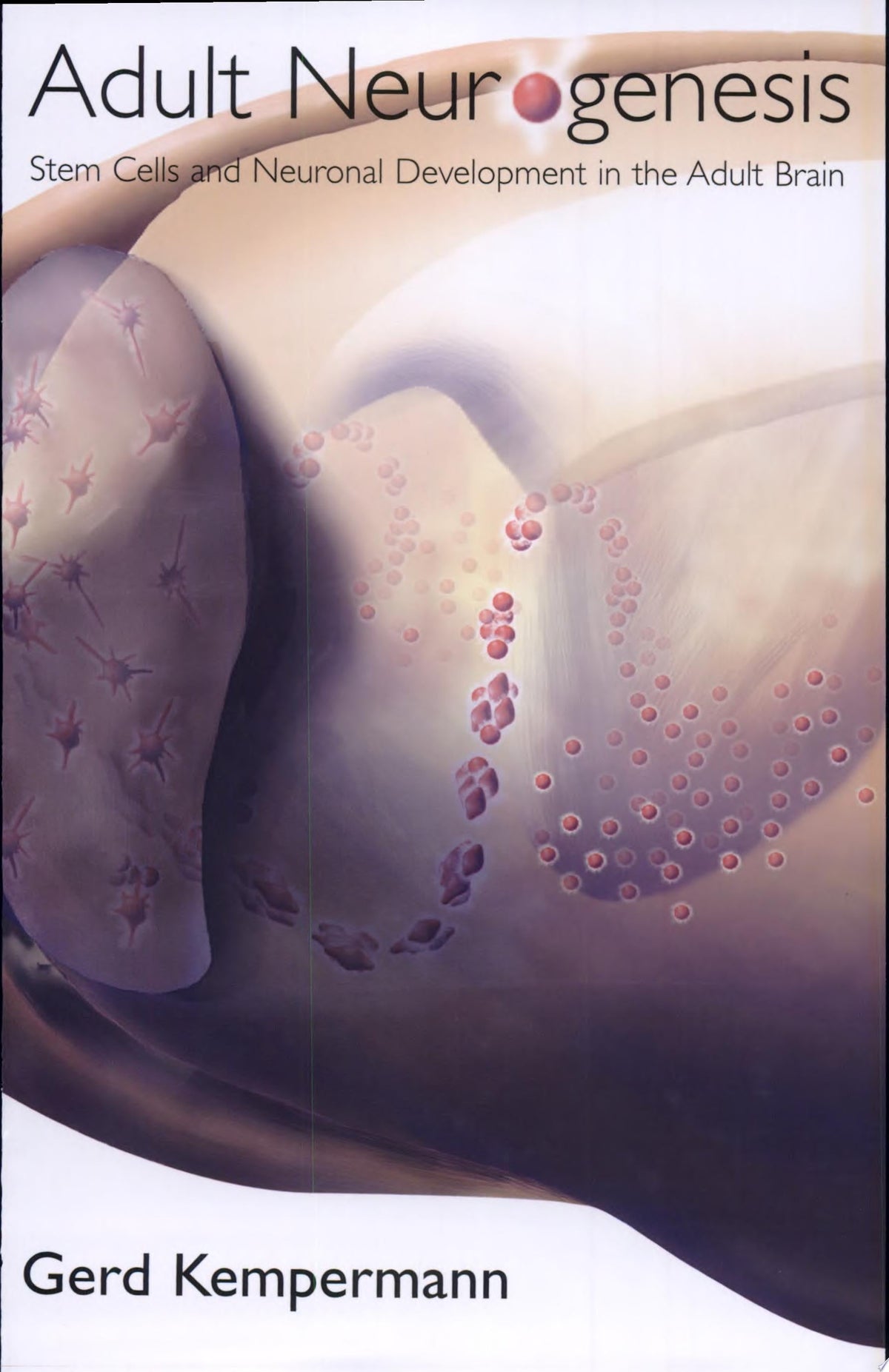 Adult Neurogenesis: Stem Cells and Neuronal Development in the Adult Brain, 3rd Edition