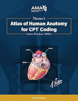 Netter’s Atlas of Human Anatomy for CPT Coding, 3rd Edition