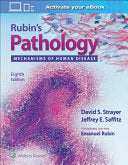 Foot Surgery Viewed Through the Prism of Comparative Anatomy: From Normal to Useful