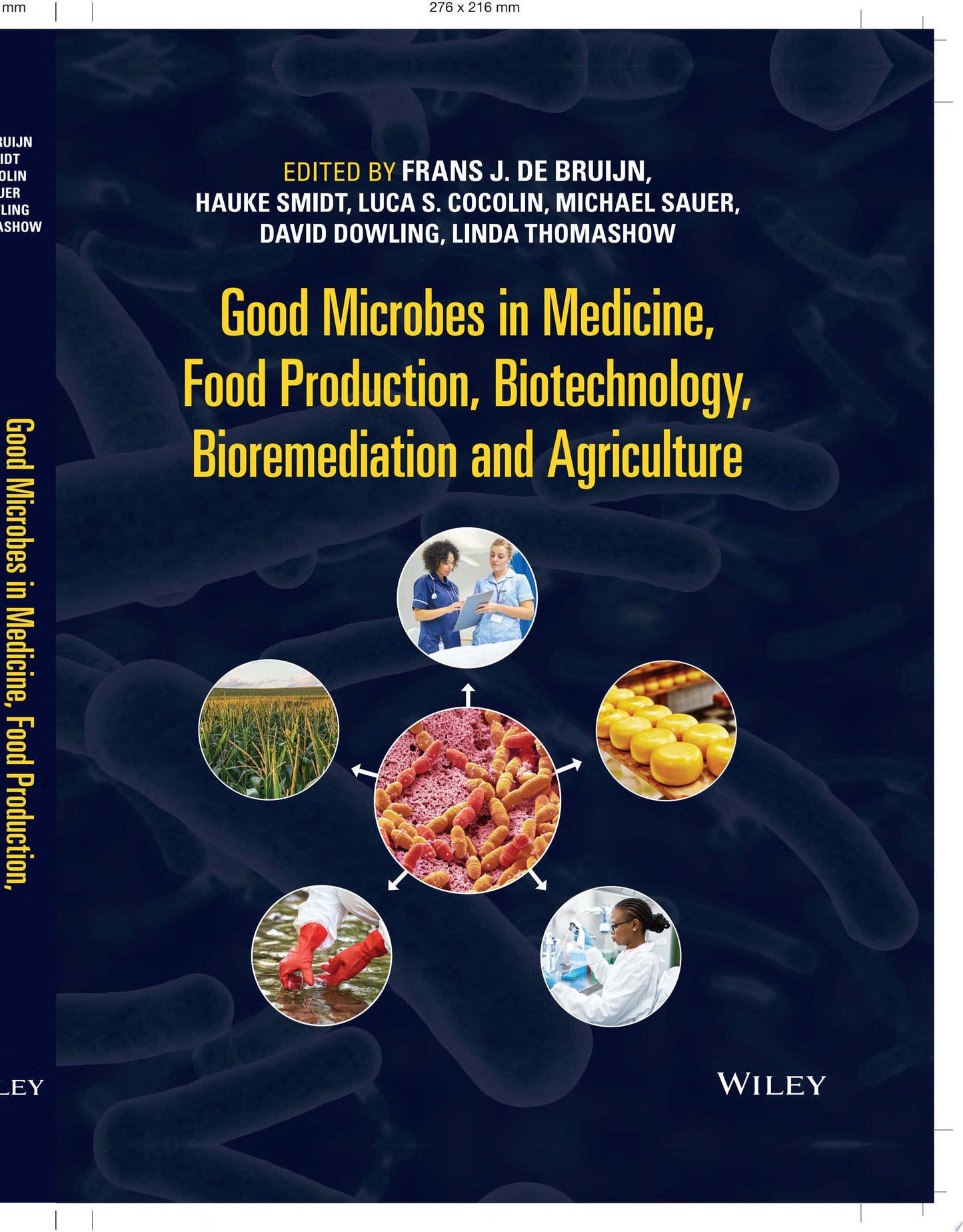 Design and Applications of Theranostic Nanomedicines