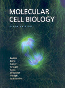 Molecular Cell Biology, 7th Edition