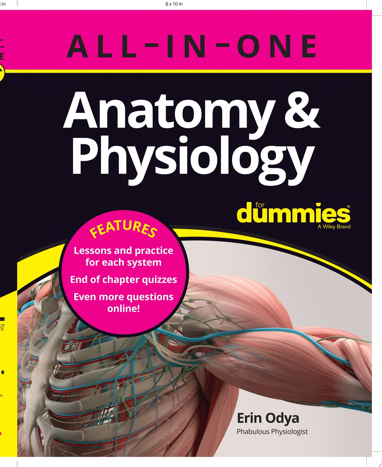 Anatomy & Physiology All-in-One For Dummies