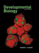 DNA Interactions with Drugs and Other Small Ligands: Single Molecule Approaches and Techniques