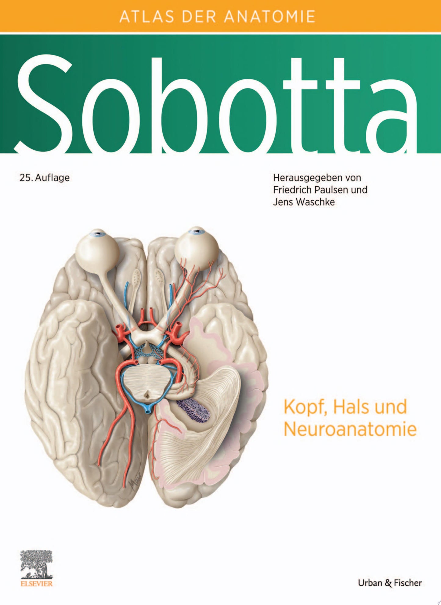 Gray’s Atlas of Anatomy , 3rd Edition