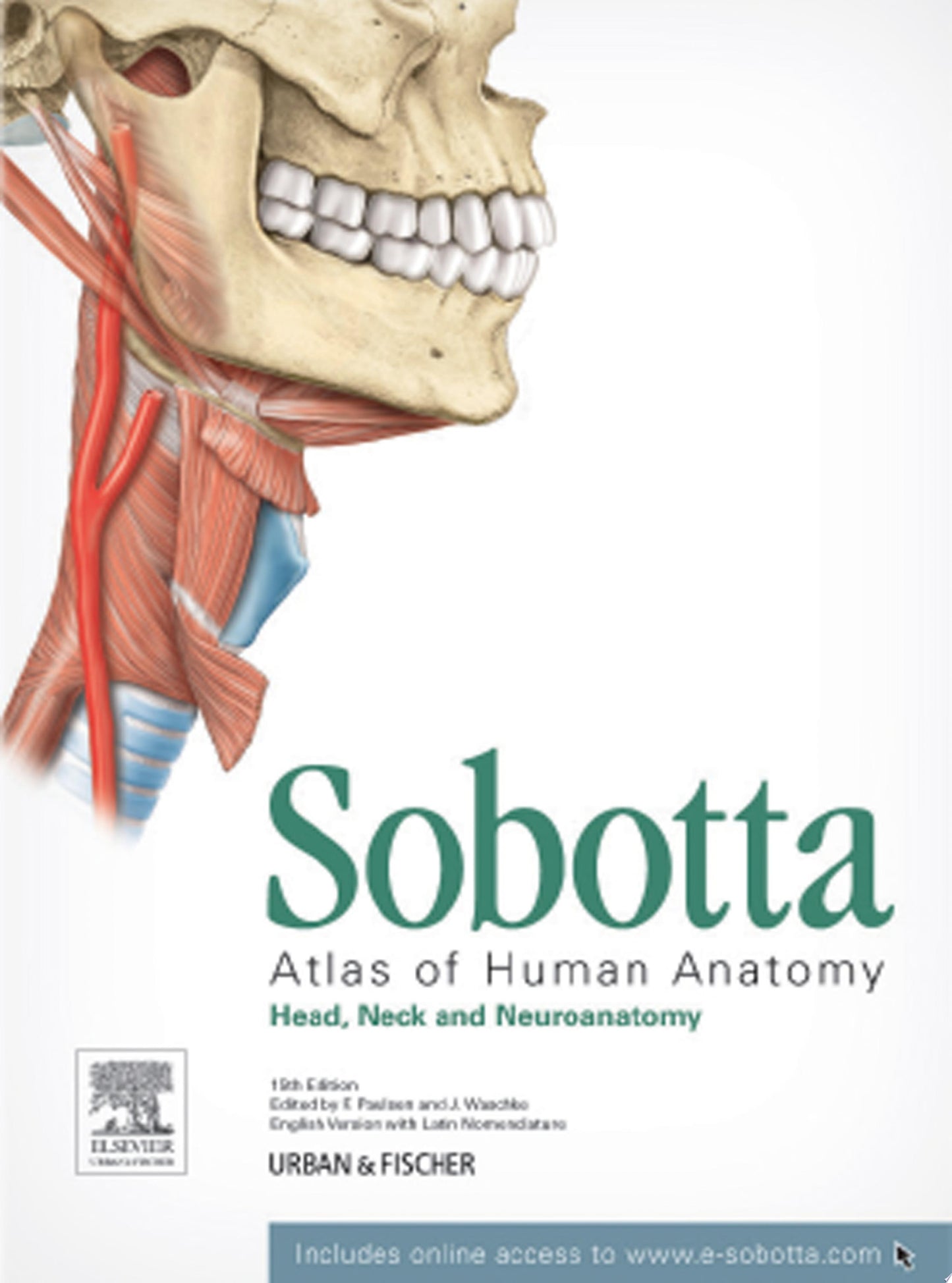 Sobotta Atlas of Anatomy, Head, Neck and Neuroanatomy: Volume 3: Head, Neck and Neuroanatomy
