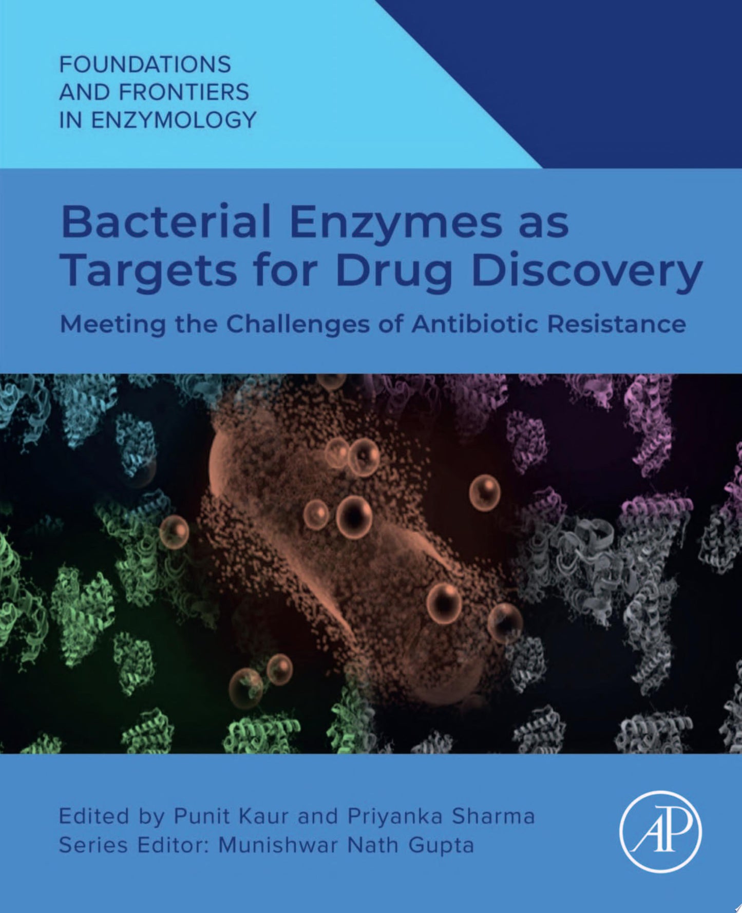 Bacterial Enzymes as Targets for Drug Discovery: Meeting the Challenges of Antibiotic Resistance