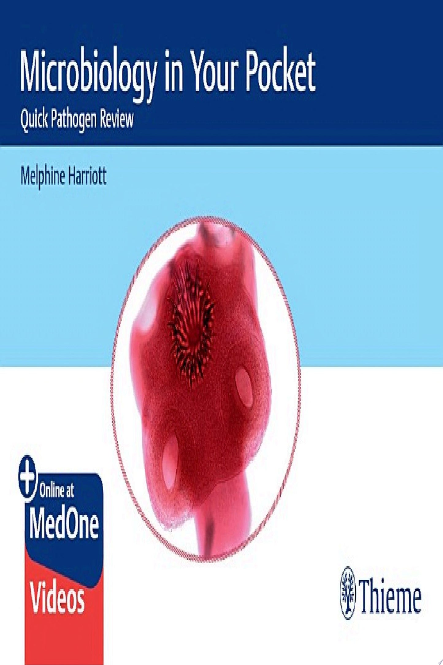 Microbiology in Your Pocket: Quick Pathogen Review