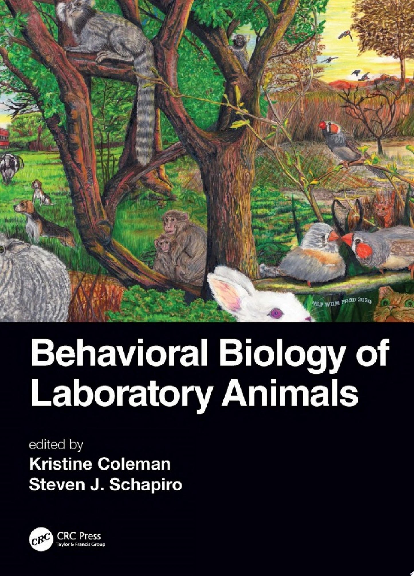 Viruses: More Friends Than Foes: Revised Edition