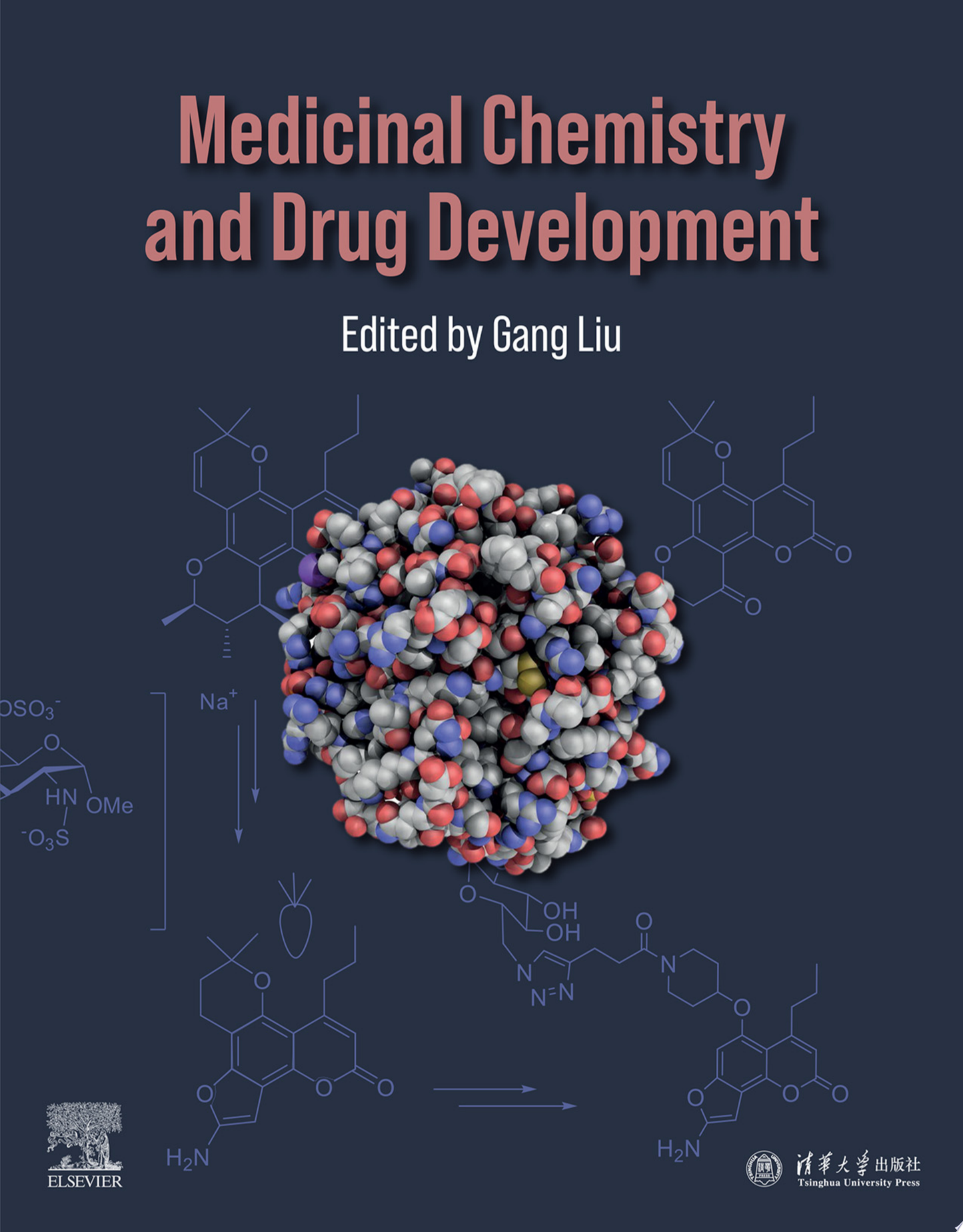 Medicinal Chemistry and Drug Development