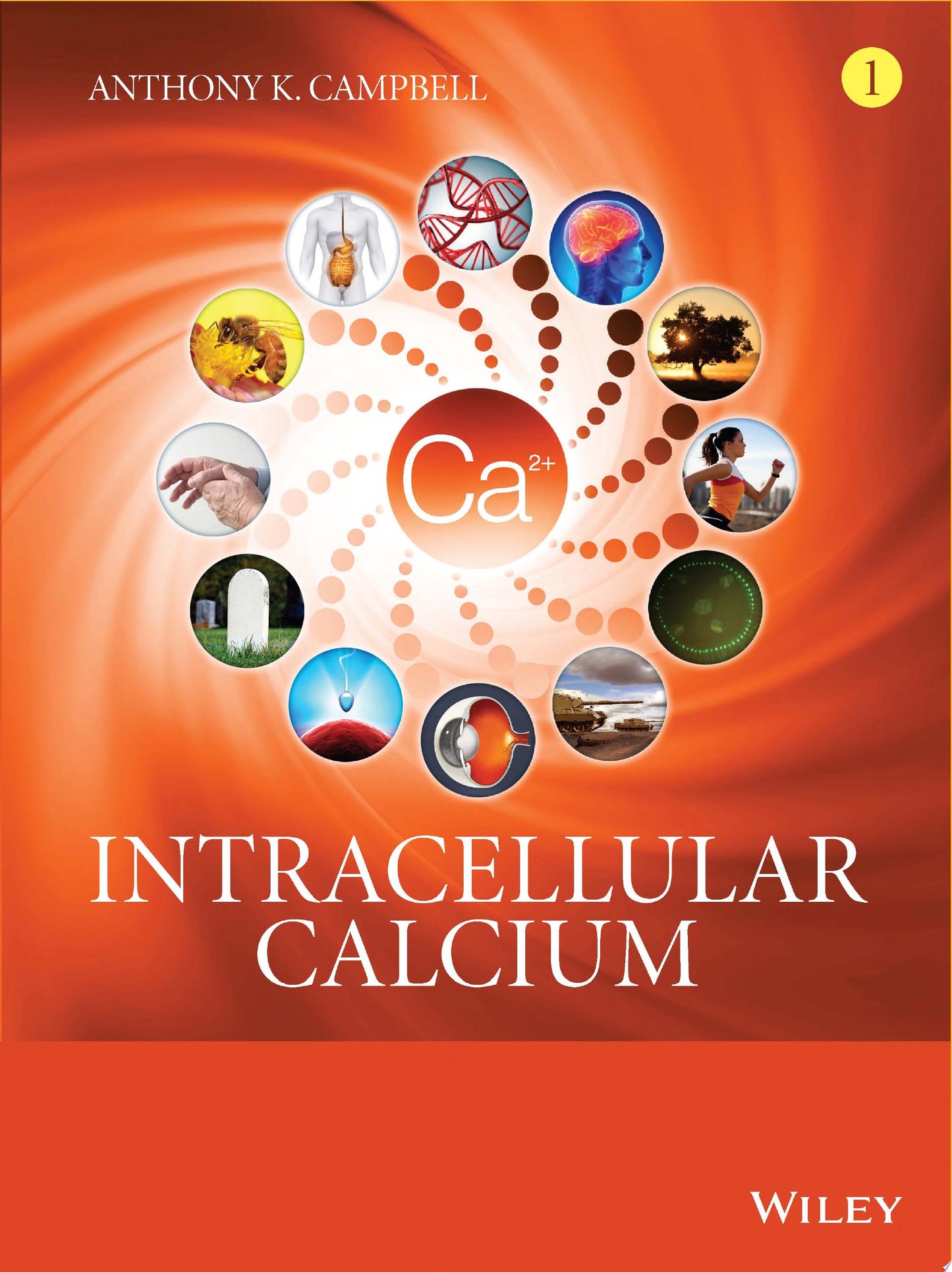 Intracellular Calcium, 2 Volume Set