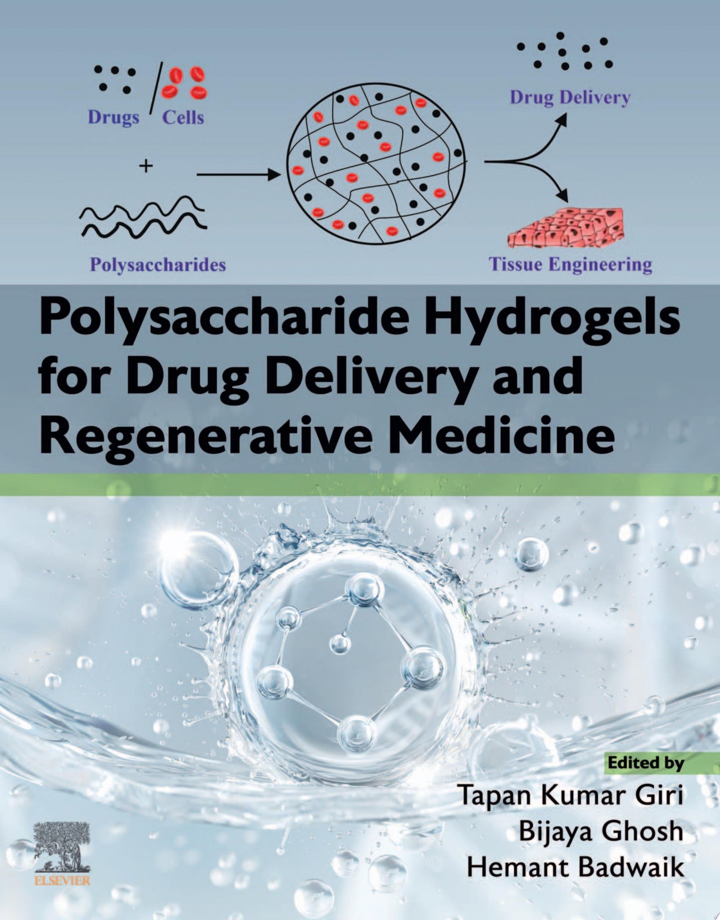 Clinical Pharmacokinetics, 6th Edition