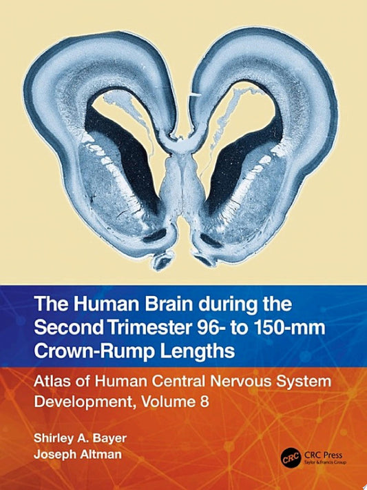 The Human Brain during the First Trimester 57- to 60-mm Crown-Rump Lengths: Atlas of Human Central Nervous System Development, Volume 7
