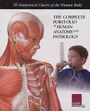 The Complete Portfolio of Human Anatomy and Pathology