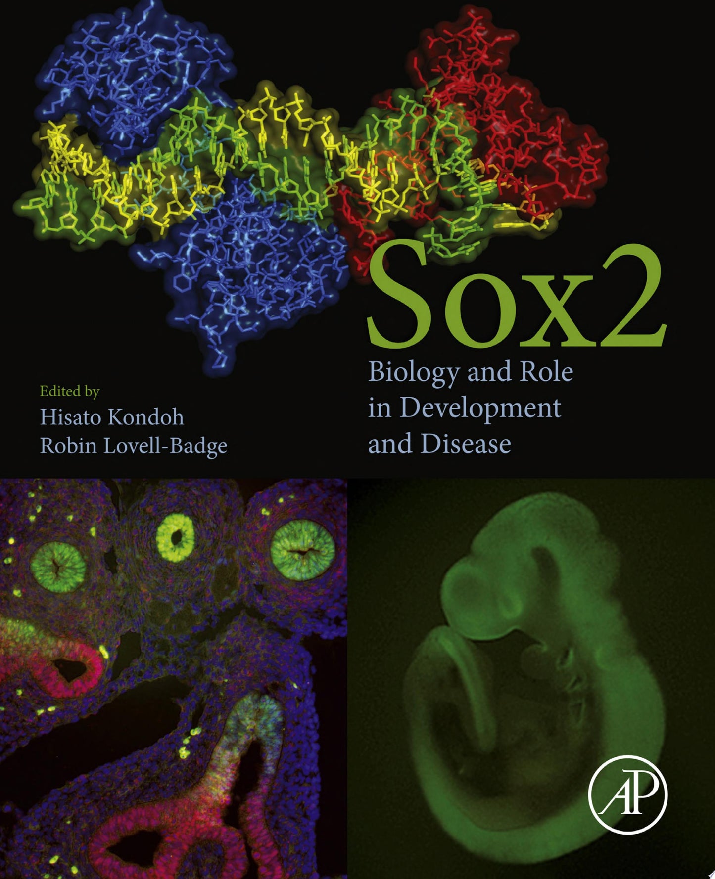 Interleukins in Cancer Biology: Their Heterogeneous Role